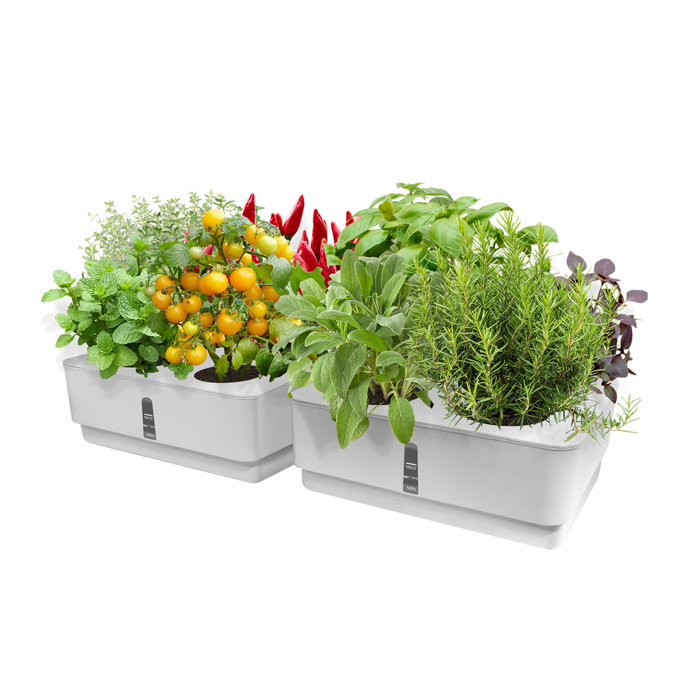 GrowLED Hydroponic Grow Box Kit Self Watering Planter Pots Window Box